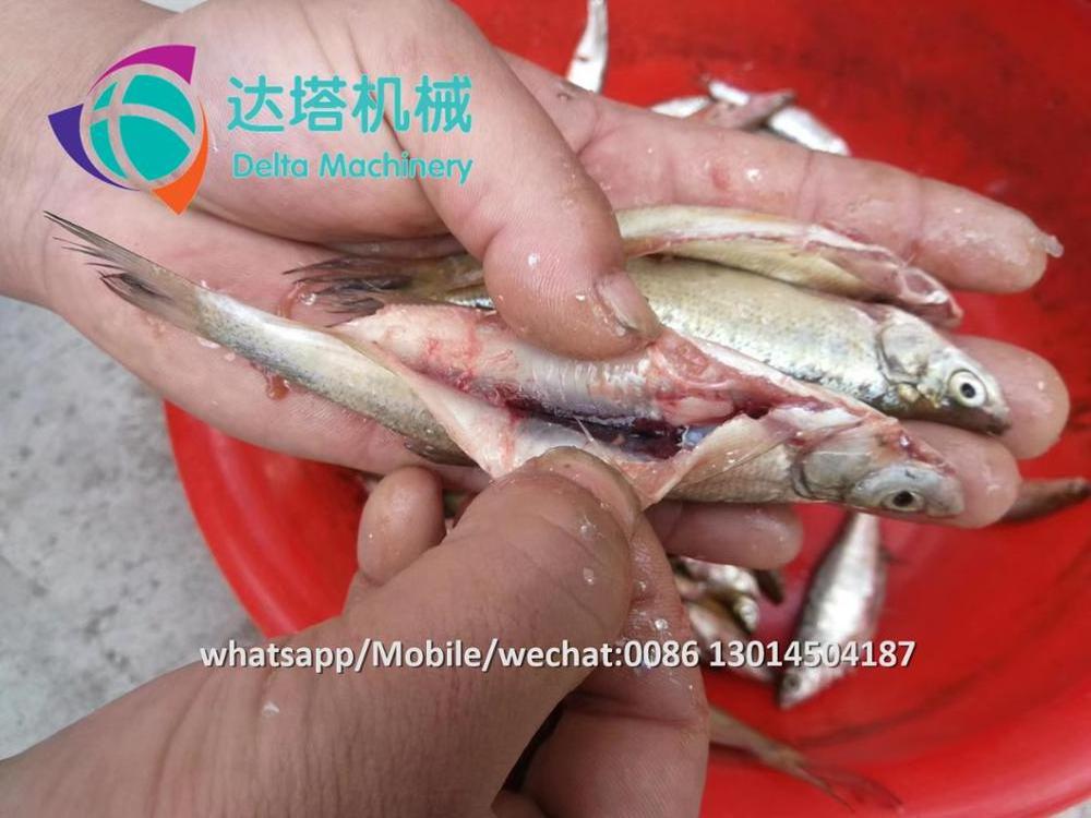 automatic small fish cleaning machine anchovy fish killer machine