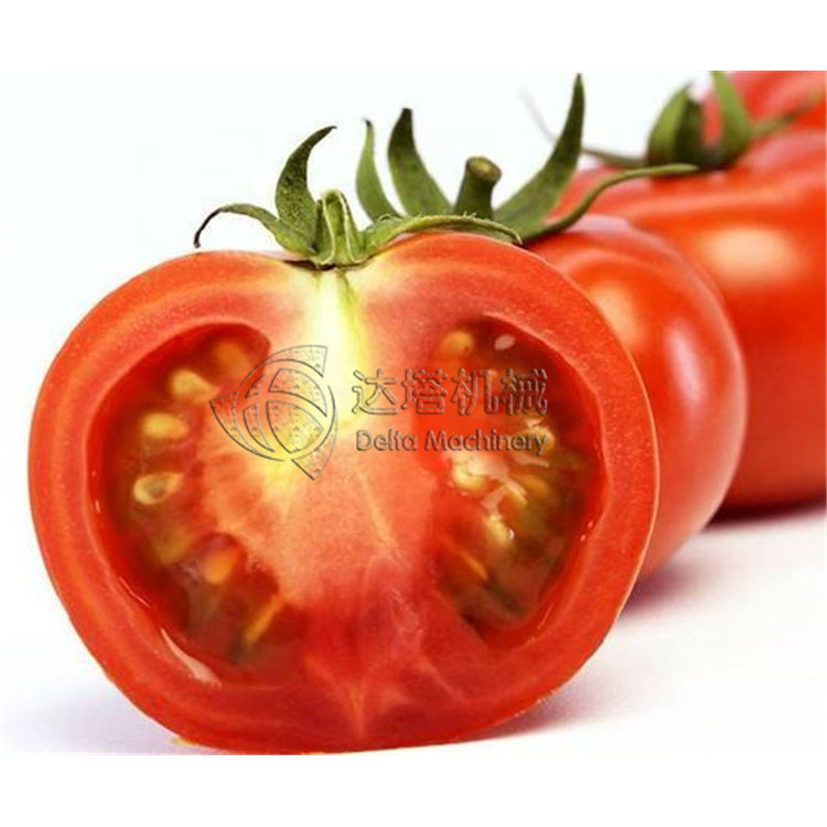 Industrial Fruit Pomegranate Grape Chilli Hemp Watermelon Pepper Tomato Seed Separator Separating Machine