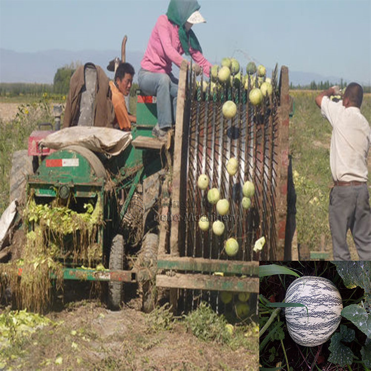 Pumpkin or watermelon seeds harvester,extractor,separator,remover,collector,huller machine matched with tractor