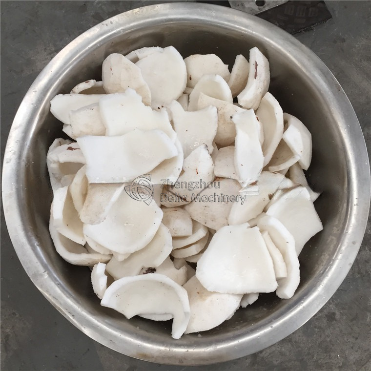 Machine To Grate Coconut Meat Into Fine Shreds For Curries Desserts And Baked Goods