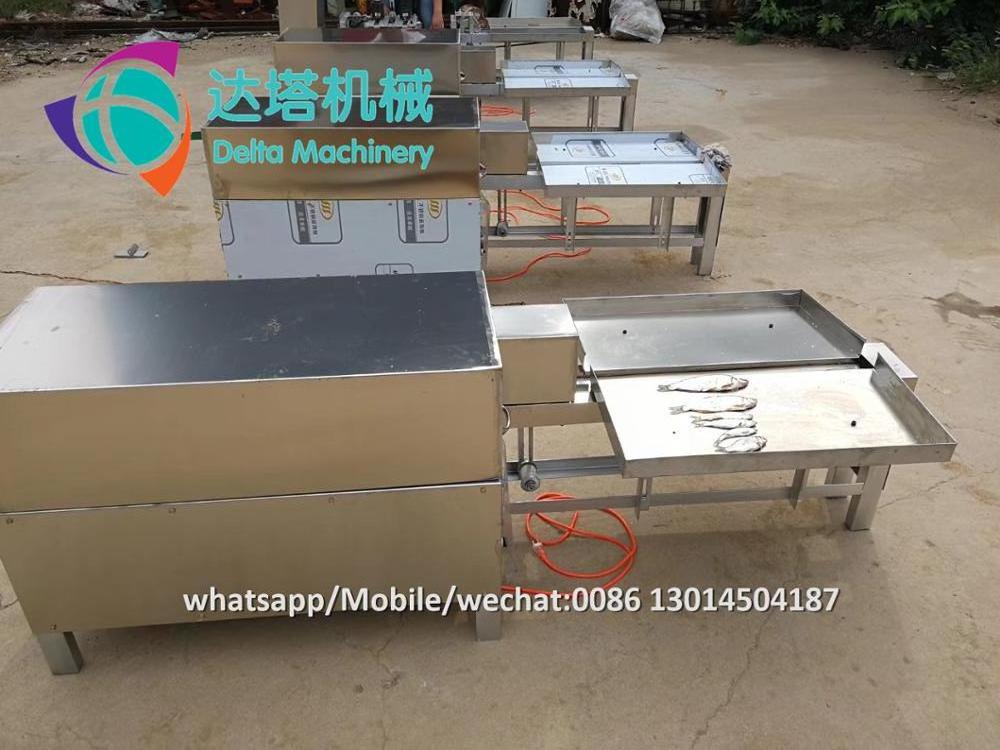 automatic small fish cleaning machine anchovy fish killer machine