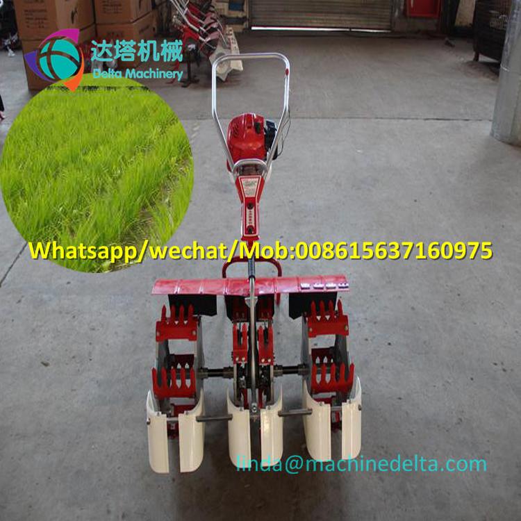 Hot Sale Mini Power Tiller Paddy Field 3-row Rice Weeder