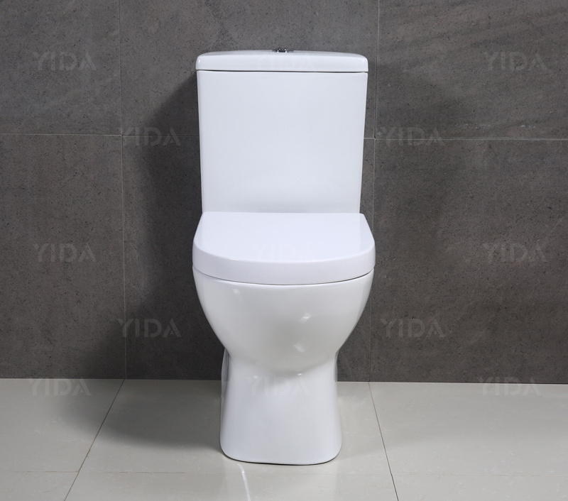 European style sanitary wares bathroom equipments washdown jet flushing wc toilet with bidet