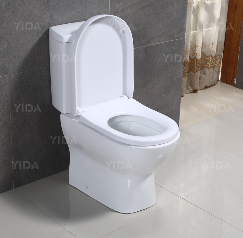 European style sanitary wares bathroom equipments washdown jet flushing wc toilet with bidet