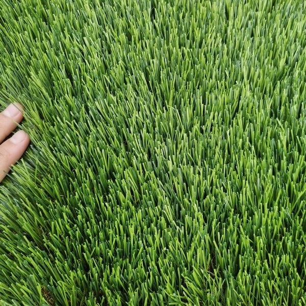 DBDMC Artificial Grass for Balcony or Doormat Soft and Durable Plastic Turf Carpet Mat Artificial Grass Pile