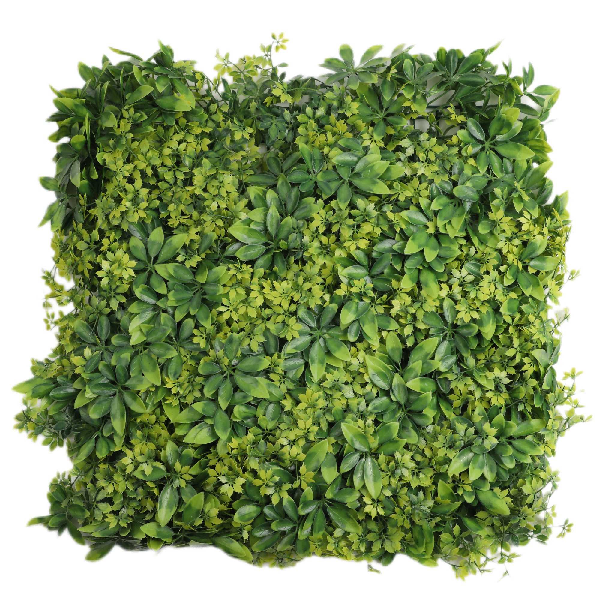 DBDMC Brand Artificial plant artificial flower Artificial Grass Wall Panels Backdrop Boxwood Panels