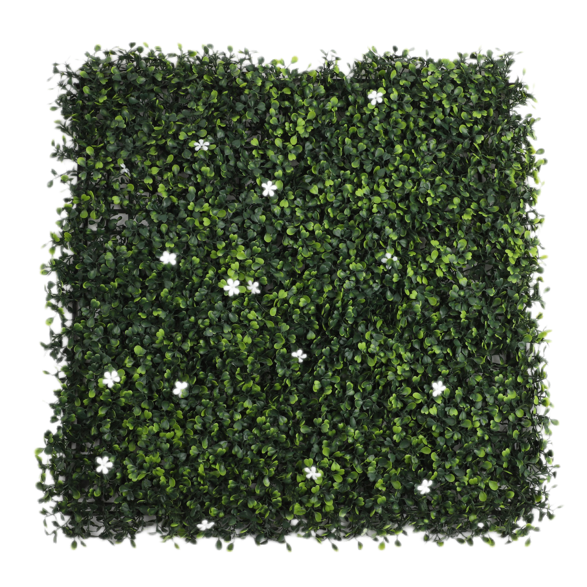 DBDMC Brand Artificial plant artificial flower Artificial Grass Wall Panels Backdrop Boxwood Panels