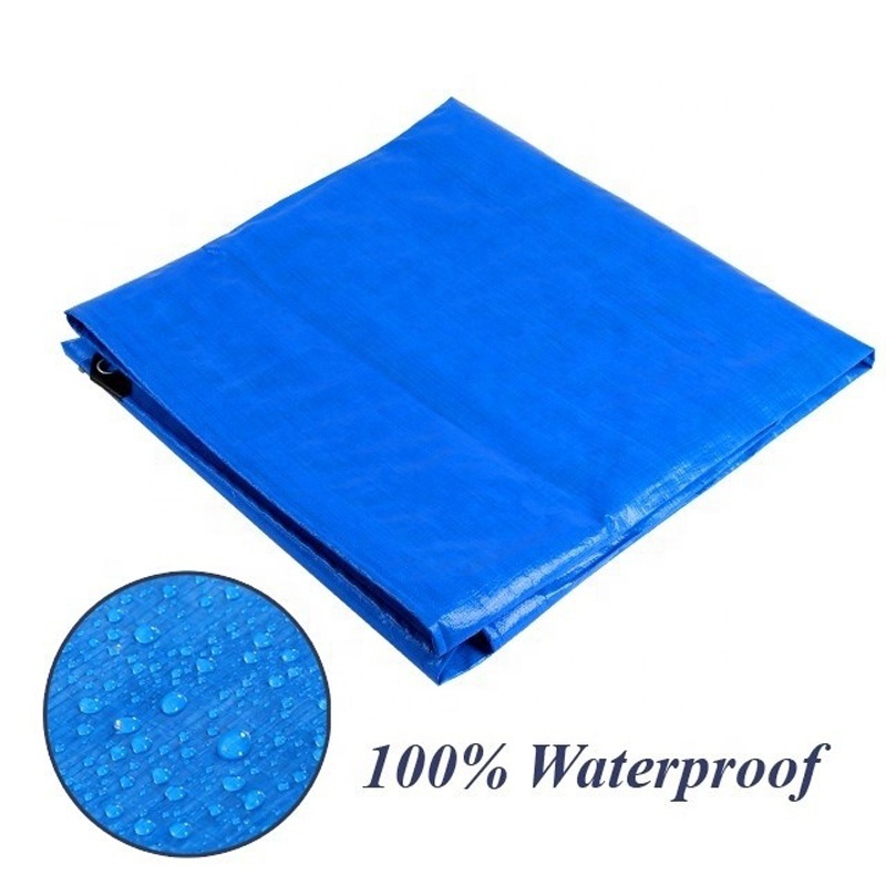 Blue Light Duty Waterproof Light Weight PE Tarpaulin Sheet Cover For Truck