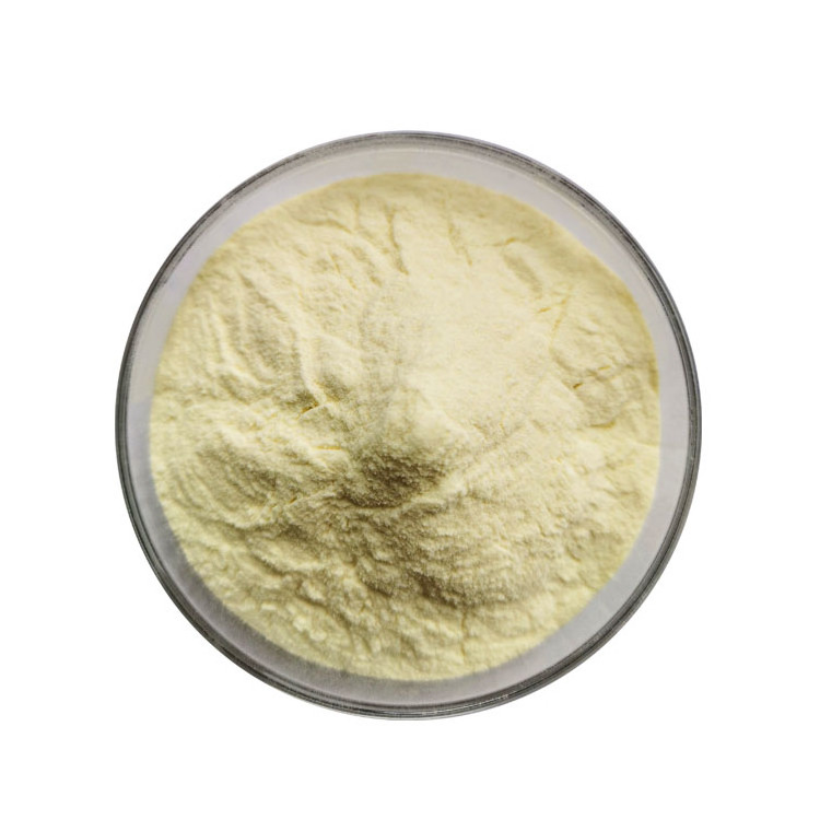 Pure Natural Organic Grapefruit Powder Grapefruit Juice Powder Grapefruit Extract