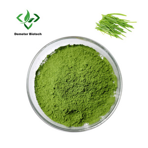 Bulk Green Organic Barley Grass Powder  Barley Grass Juice Powder