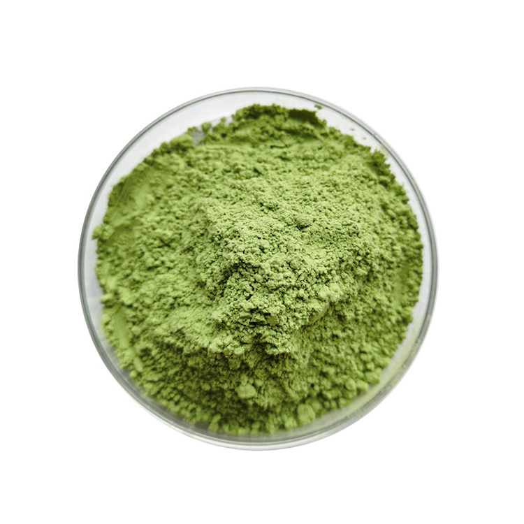 Bulk Green Organic Barley Grass Powder  Barley Grass Juice Powder