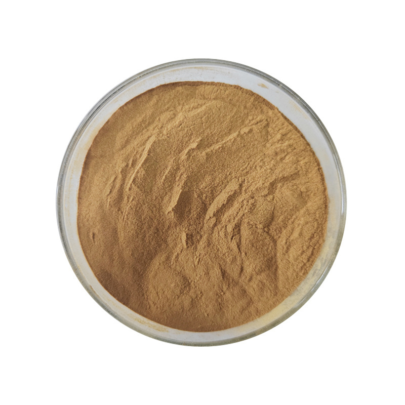 Food Grade Camellia Oleifera Seed Extract  65% Tea Saponin Powder