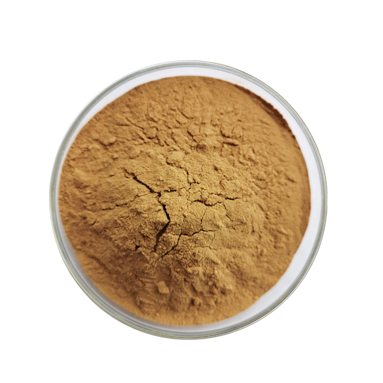 Factory Outlet Organic  Lion's Mane Mushroom Extract Powder