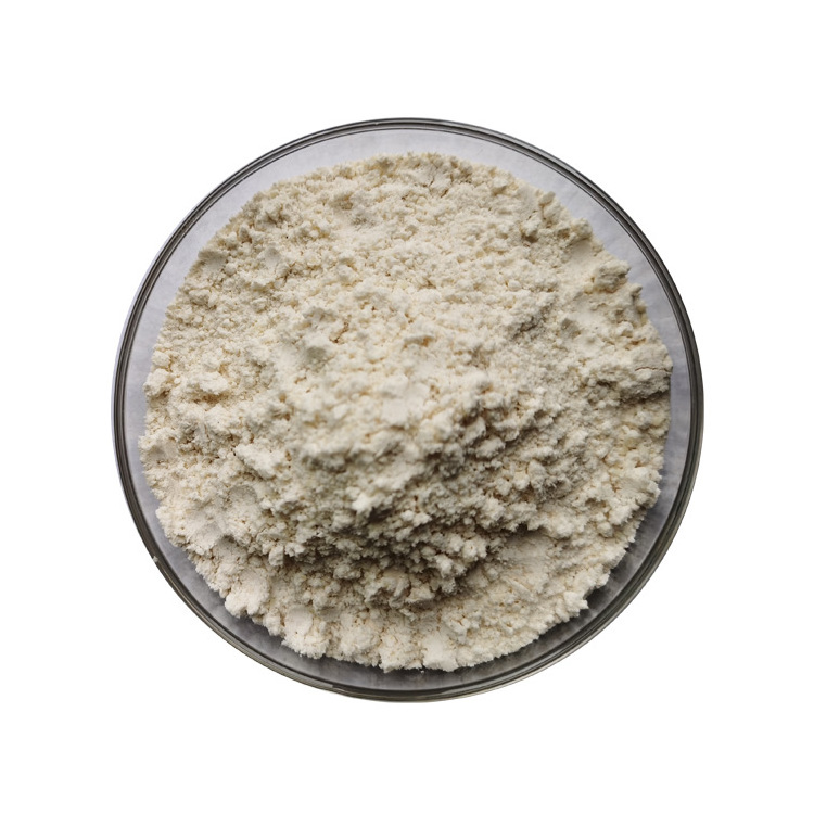 High Quality Organic Almond Protein Powder