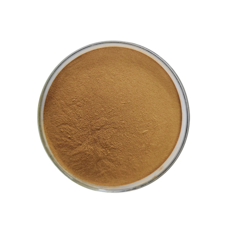 Factory Supply Hovenia Dulcis Extract 5% 20% Dihydromyricetin Powder DHM Powder