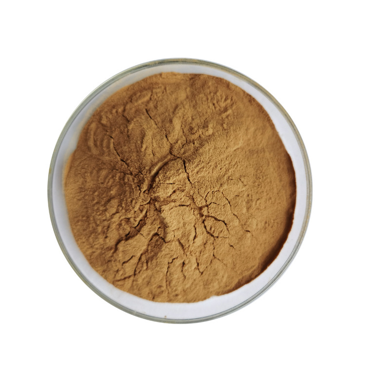 Factory Outlet Organic  Lion's Mane Mushroom Extract Powder