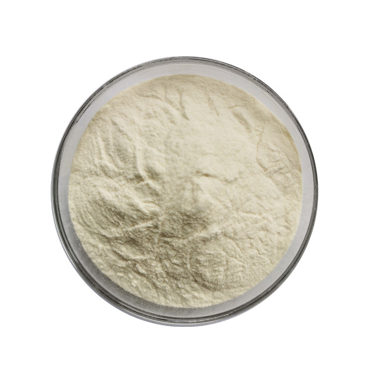 Pure Natural Immature Bitter Orange Citrus Aurantium Extract Powder