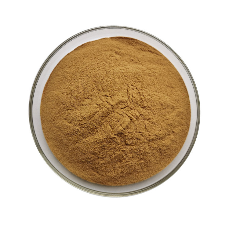 100% Pure Natural Horsetail Equisetum Arvense Extract Powder