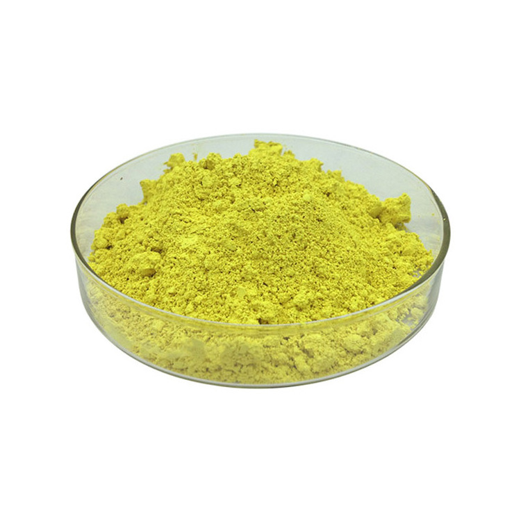 Natural Sophora Japonica Extract 98% Quercetin Powder