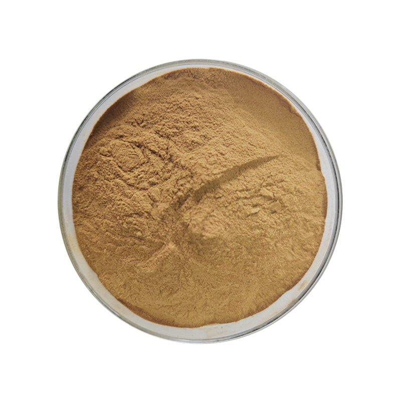 Food Grade Camellia Oleifera Seed Extract  65% Tea Saponin Powder