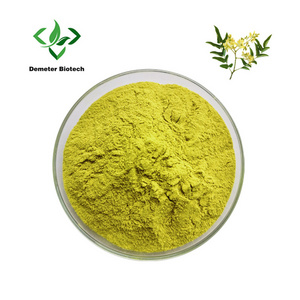 Natural Sophora Japonica Extract 98% Quercetin Powder