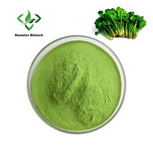 Organic Dried Dehydrated Spinach Juice Powder