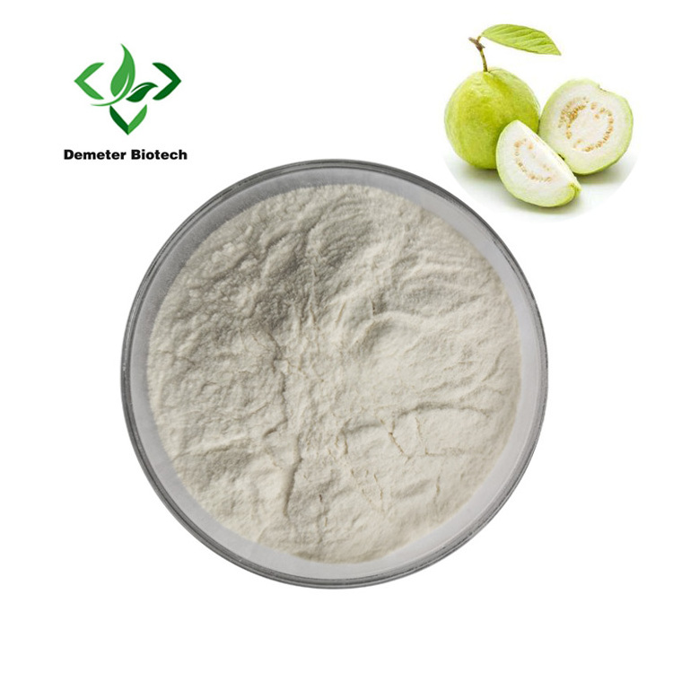 Natural Guava Fruit Powder