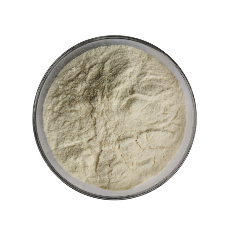 Pure Natural Immature Bitter Orange Citrus Aurantium Extract Powder