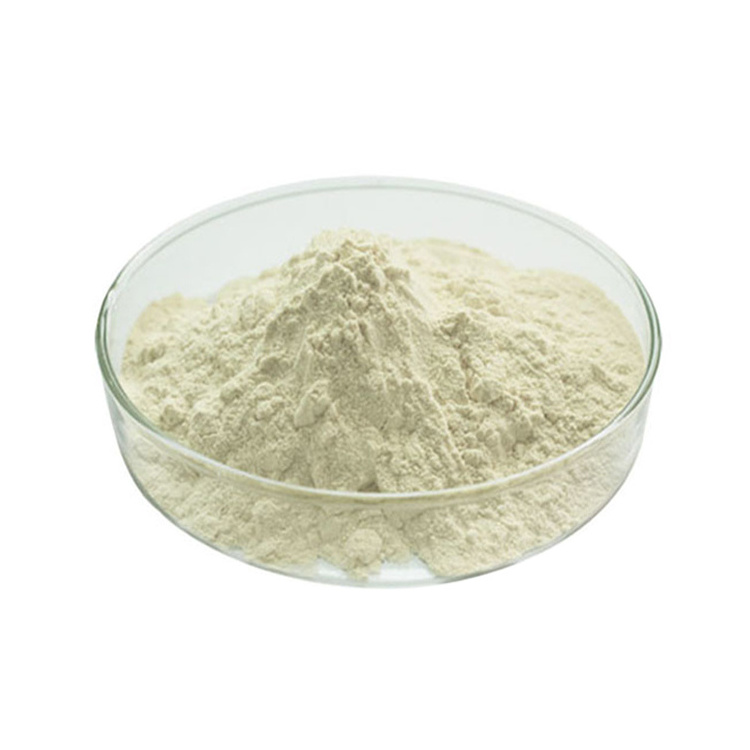 Pure Natural Organic Grapefruit Powder Grapefruit Juice Powder Grapefruit Extract