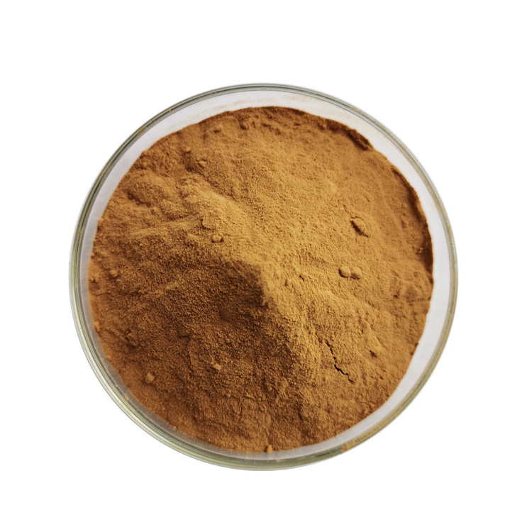 Factory Outlet Organic  Lion's Mane Mushroom Extract Powder