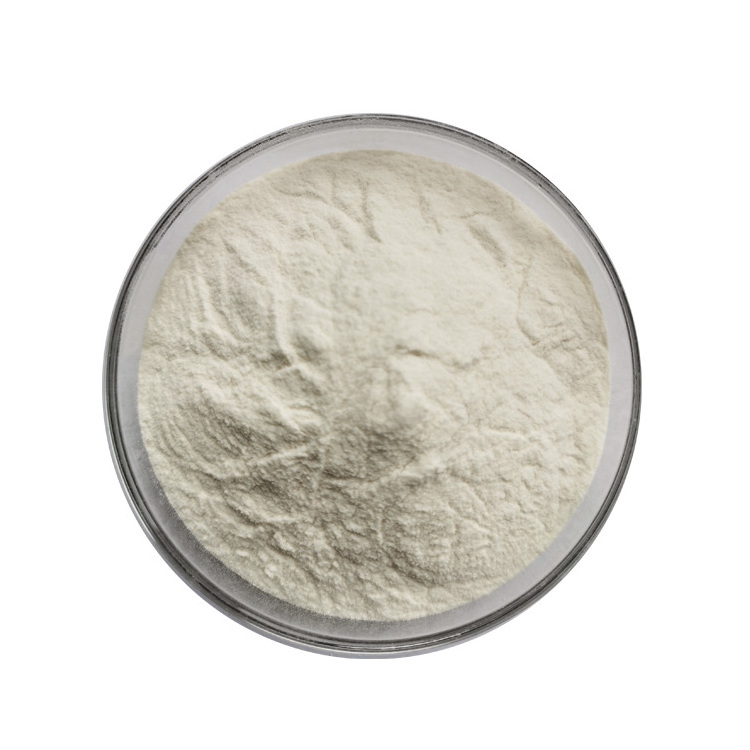 Natural Guava Fruit Powder