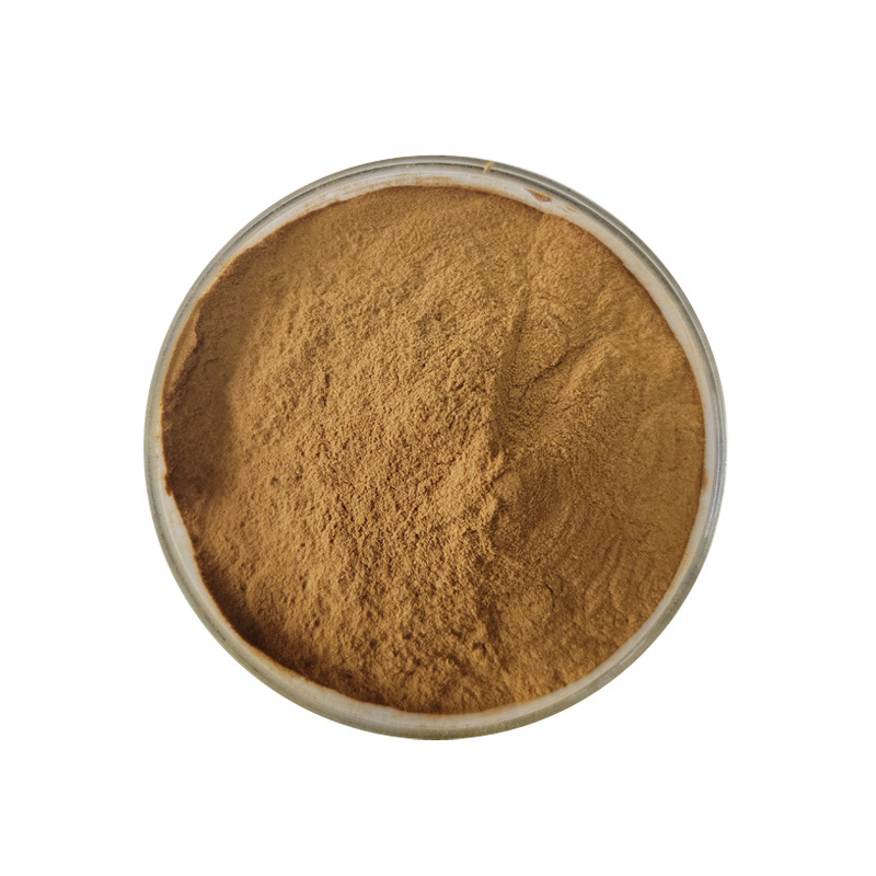 Factory Supply Hovenia Dulcis Extract 5% 20% Dihydromyricetin Powder DHM Powder