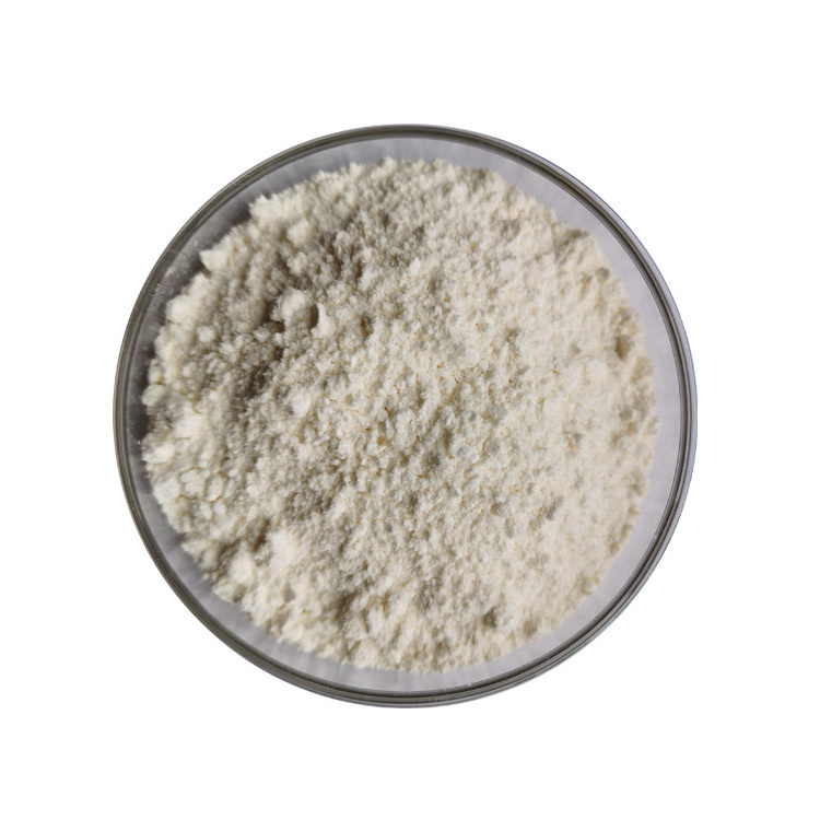 High Quality Organic Almond Protein Powder