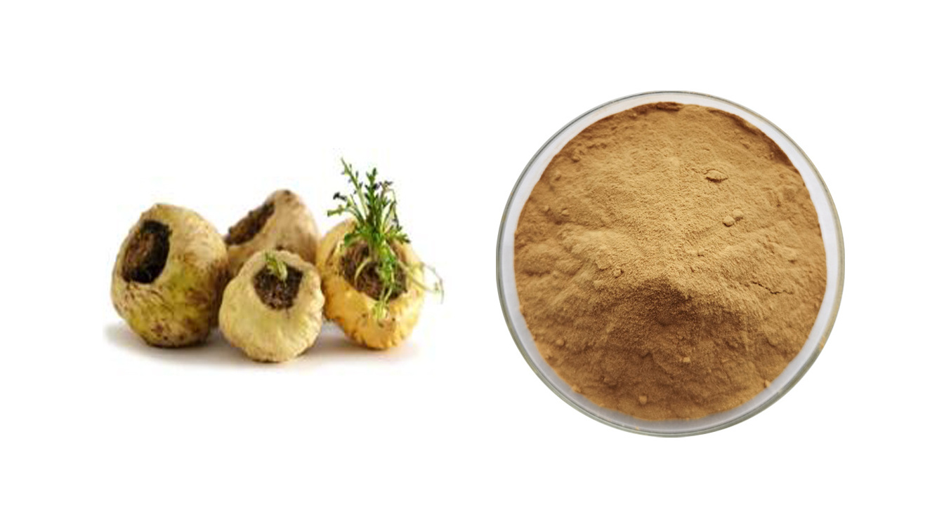 Organic Maca Extract Powder Black Maca Root Powder