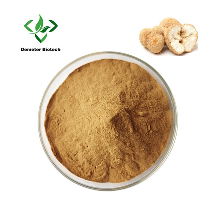 Factory Outlet Organic  Lion's Mane Mushroom Extract Powder