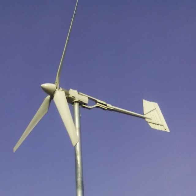 500W Small Wind Generator/Wind Turbine /Wind Mill