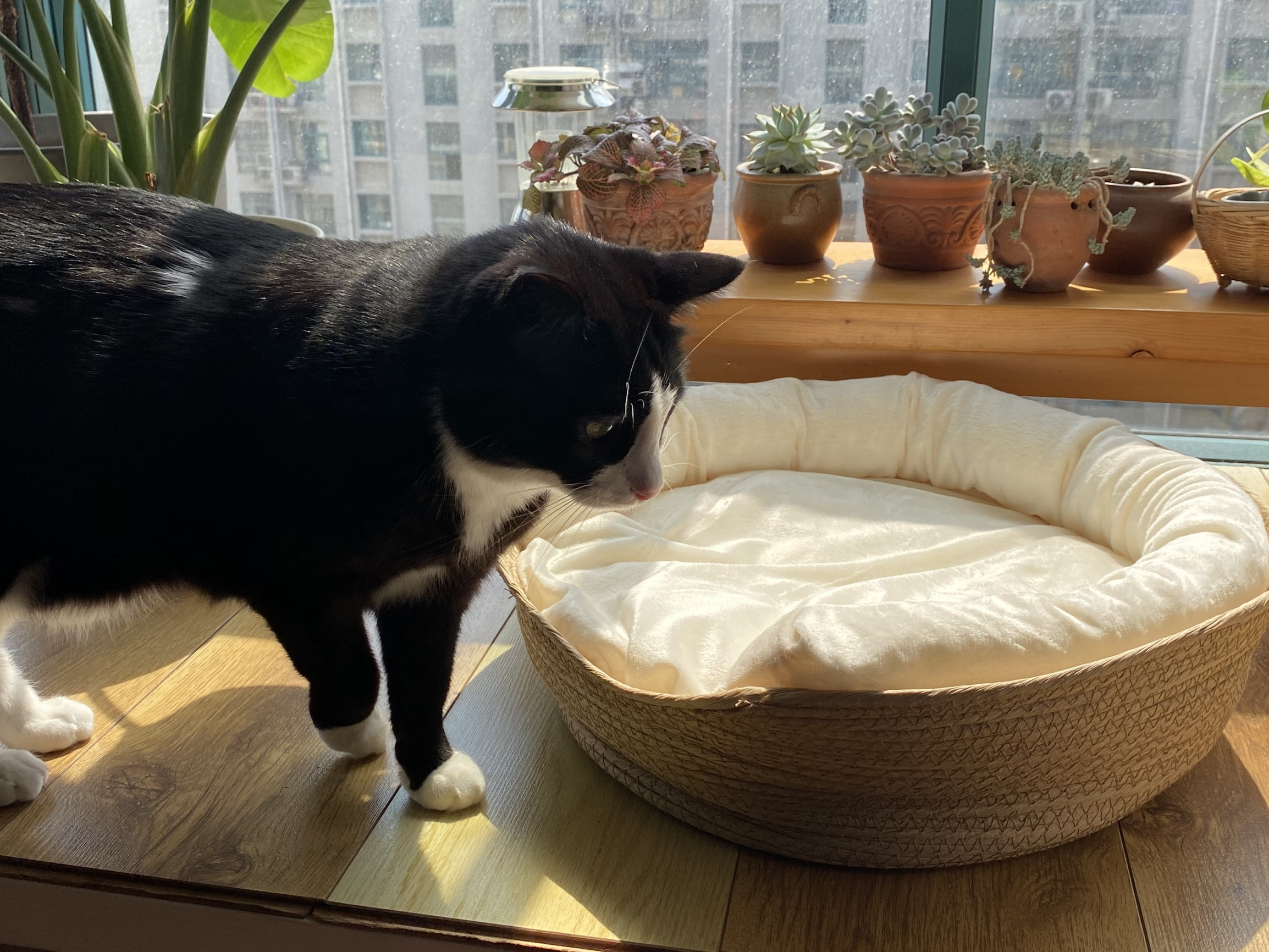 China Wholesale Custom Breathable Waterproof Handmade Japanese Style Cats Nest Handmade Knitted Round Rattan Dog Pet Bed