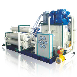 Natural Gas Compressor/CNG Filling Station/Vertical CNG Compressor