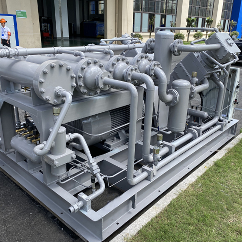 Natural Gas Compressor/CNG Filling Station/Vertical CNG Compressor