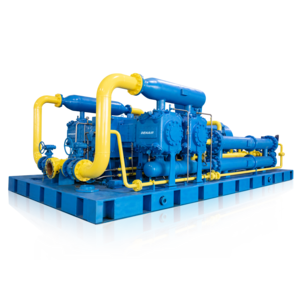 CNG Station Natural Gas Hydrogen Nitrogen High Pressure Compressor for Gas Transportation/Marine Application