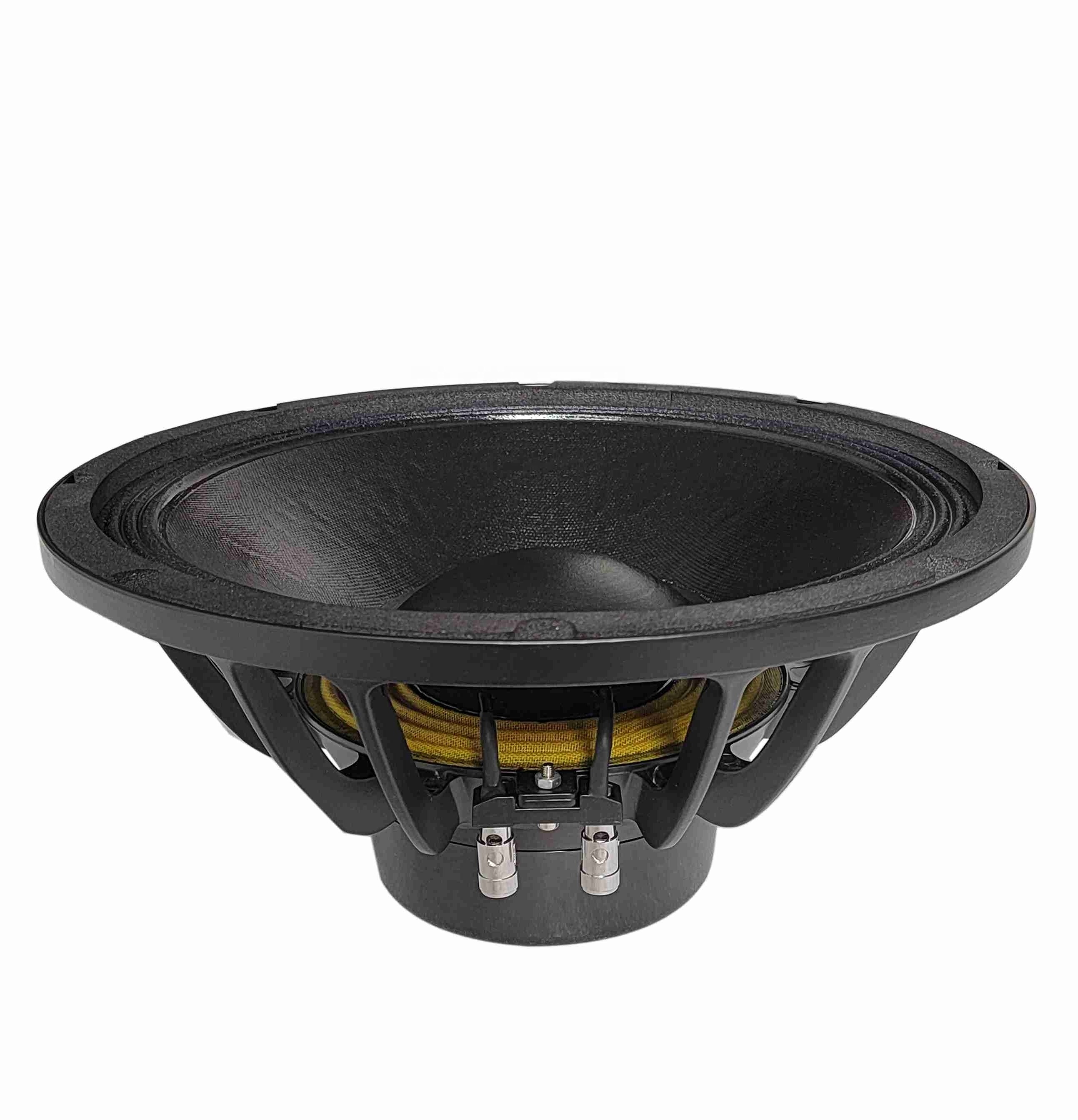 12 inch neodymium Mid-bass woofer