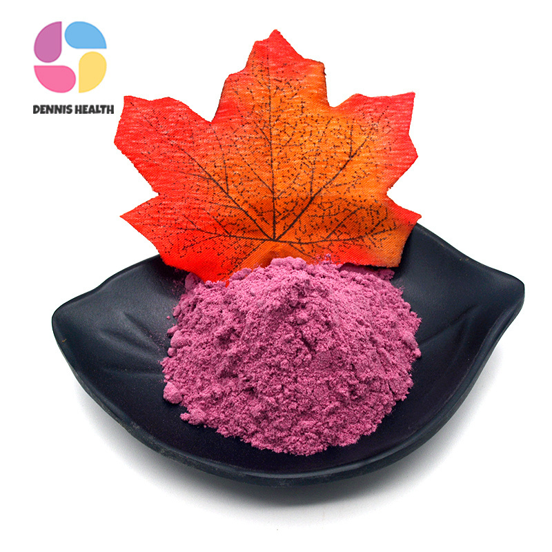 Pure botanical black berry extract anthocyanin blackberry fruit powder