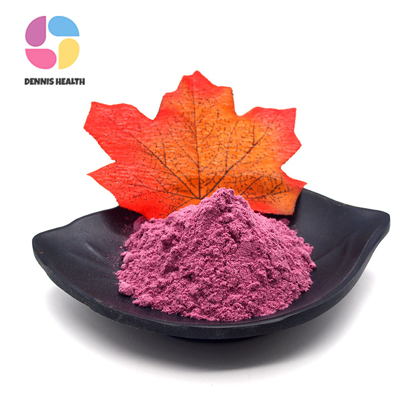 Pure botanical black berry extract anthocyanin blackberry fruit powder