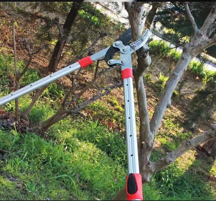 High Grade Aluminum Handle Pruning Shears Lopper Bypass telescopic lopper, Anvil Telescopic Loper For Sales