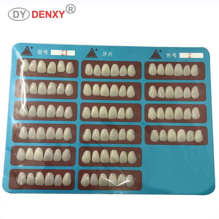 Denxy Dental acrylic resin teeth dental porcelain veneers