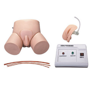 Electronic Urethral Catheterization and Enema Model