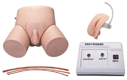 Electronic Urethral Catheterization and Enema Model