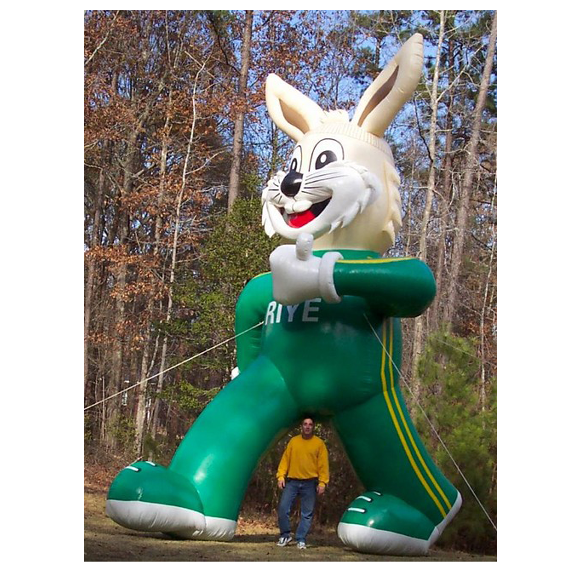 large inflatable bunny, giant inflatable easter rabbit for Easter Day Festival