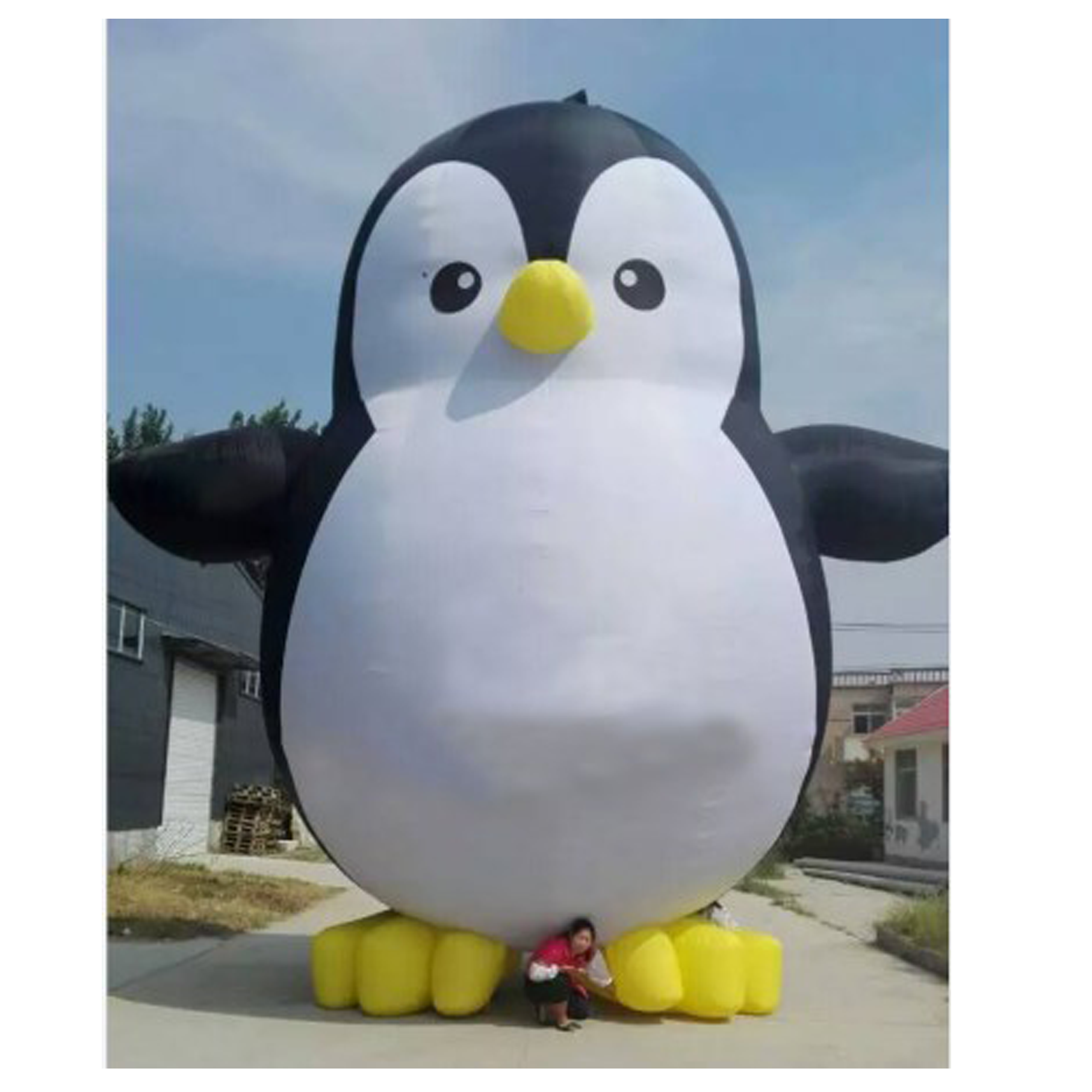 Movie Character Giant Inflatable Madagascar Penguin For Zoo Events