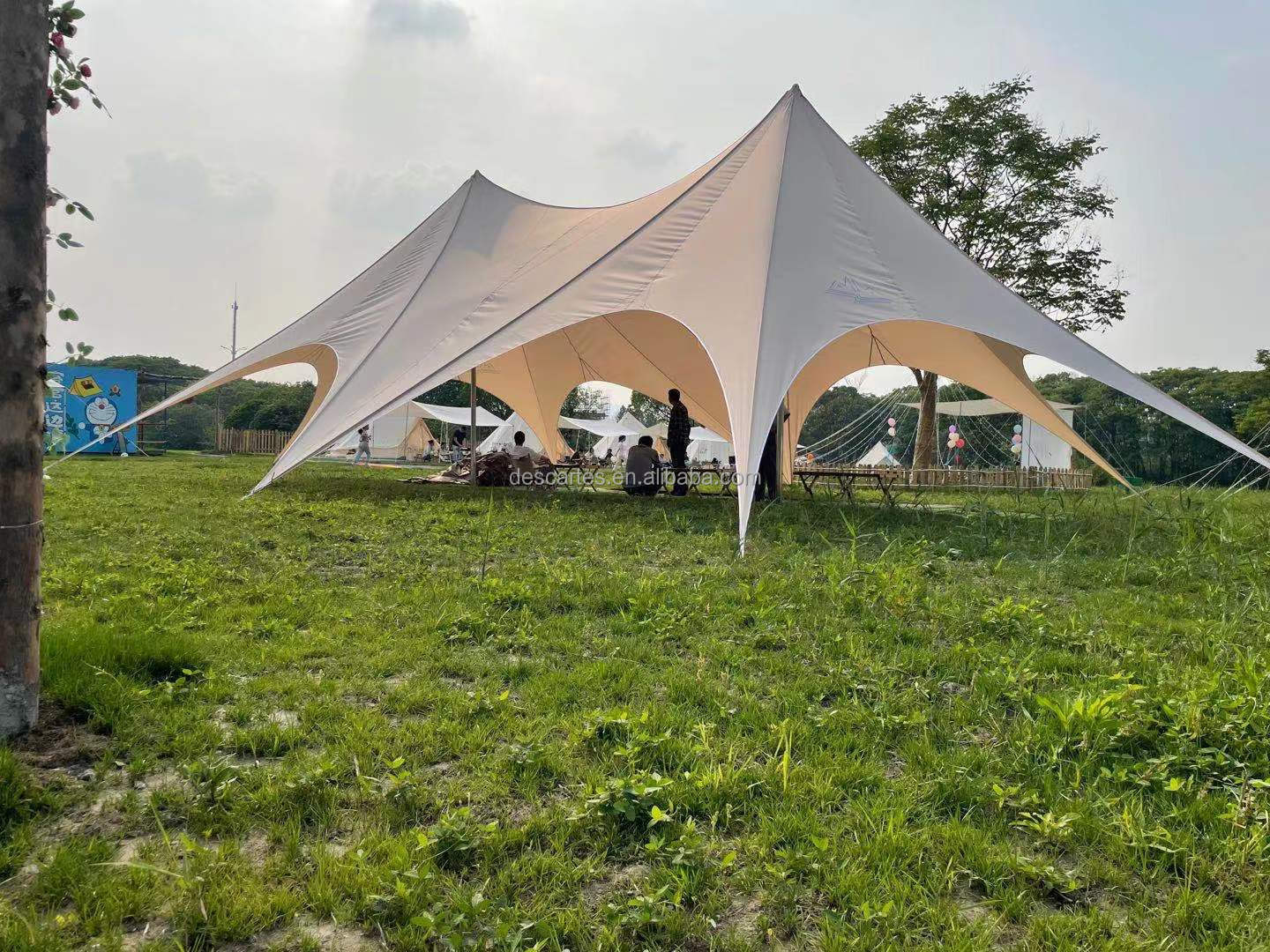 M Shape Unique Design Big Star Shade Camp Tents For 50 People Seated